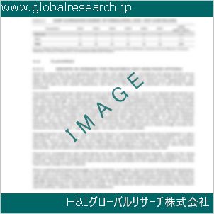 グローバルリサーチ調査資料のイメージ
